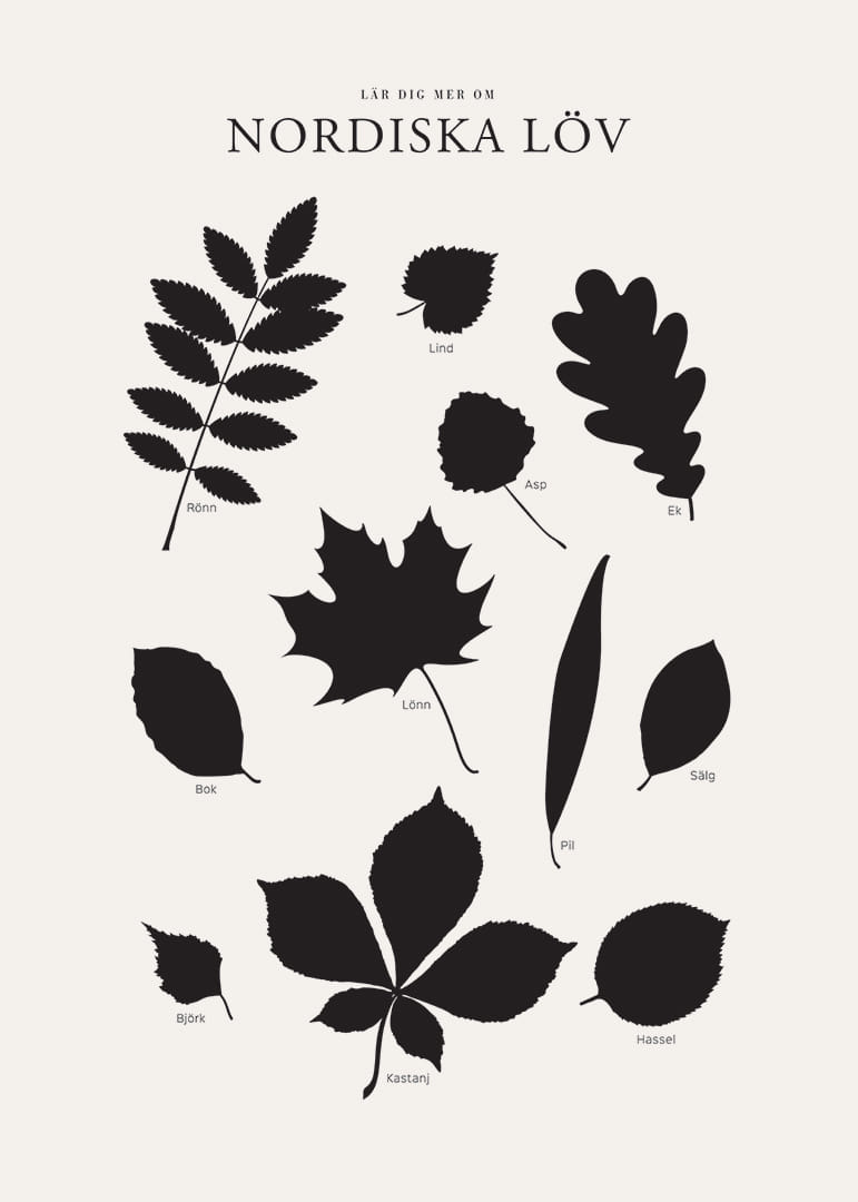 Svartvita silhuetter av nordiska löv med namntext-12