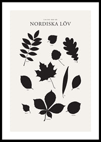Svartvita silhuetter av nordiska löv med namntext-0