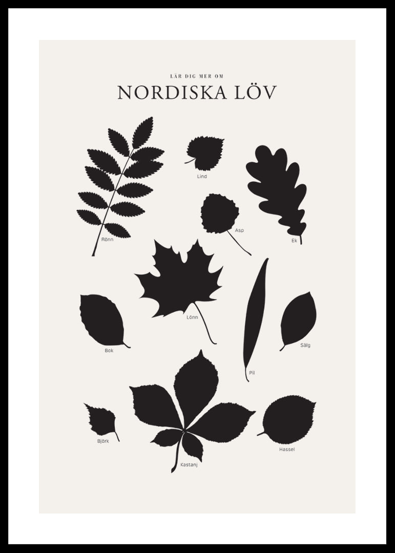 Svartvita silhuetter av nordiska löv med namntext-12