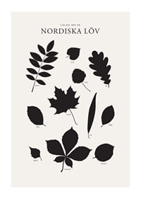 Svartvita silhuetter av nordiska löv med namntext-1