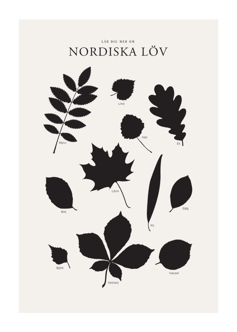 Svartvita silhuetter av nordiska löv med namntext-12