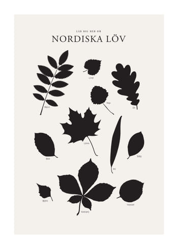 Poster Nordiska Löv