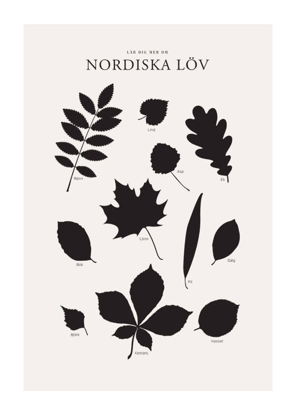 Poster Nordiska Löv