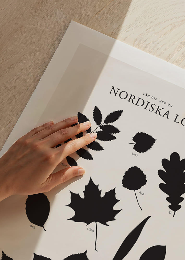 Svartvita silhuetter av nordiska löv med namntext-12