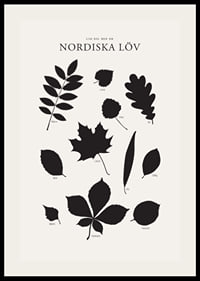 Svartvita silhuetter av nordiska löv med namntext-2