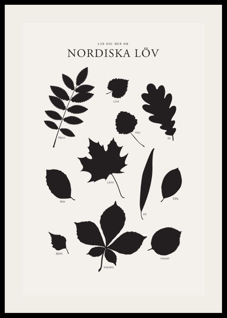 Svartvita silhuetter av nordiska löv med namntext-12