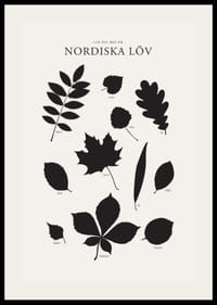Svartvita silhuetter av nordiska löv med namntext-2
