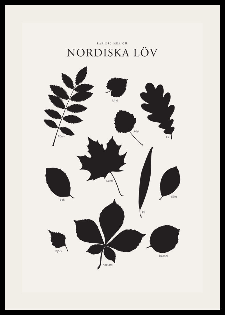 Svartvita silhuetter av nordiska löv med namntext-12