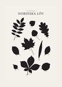 Svartvita silhuetter av nordiska löv med namntext-3