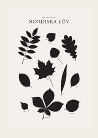 Svartvita silhuetter av nordiska löv med namntext-3