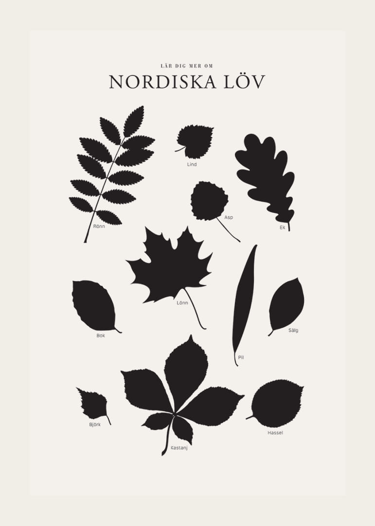 Svartvita silhuetter av nordiska löv med namntext-12