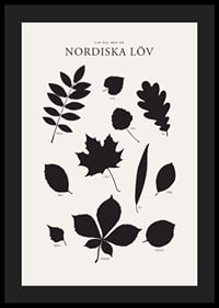 Svartvita silhuetter av nordiska löv med namntext-4