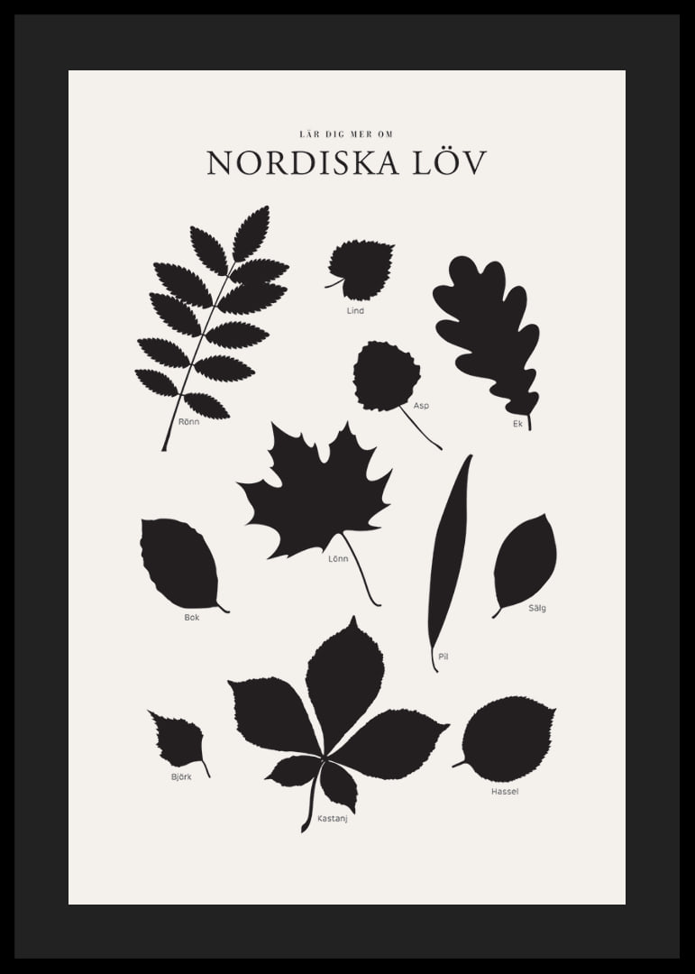 Svartvita silhuetter av nordiska löv med namntext-12