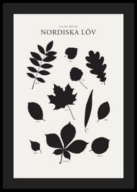 Svartvita silhuetter av nordiska löv med namntext-4