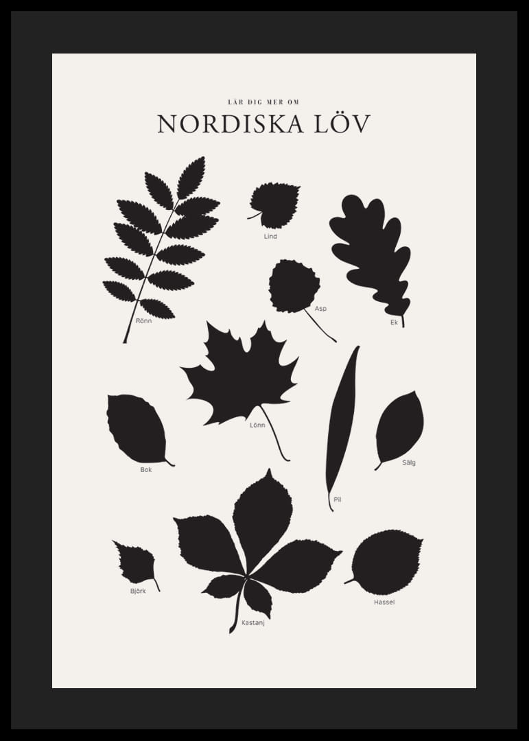 Svartvita silhuetter av nordiska löv med namntext-12