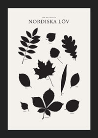 Svartvita silhuetter av nordiska löv med namntext-5