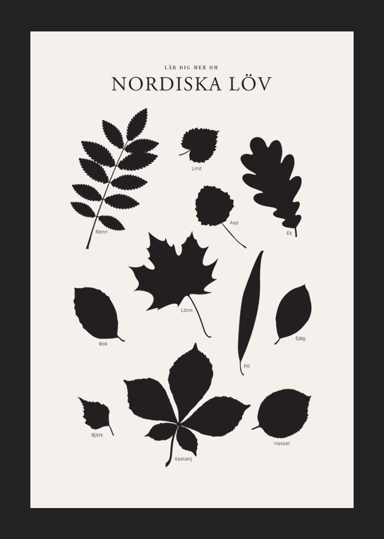 Svartvita silhuetter av nordiska löv med namntext-12