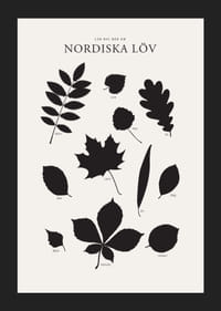 Svartvita silhuetter av nordiska löv med namntext-5