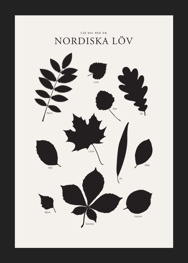 Svartvita silhuetter av nordiska löv med namntext-12