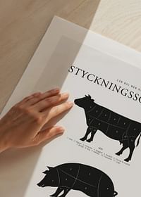 Styckningsscheman-5