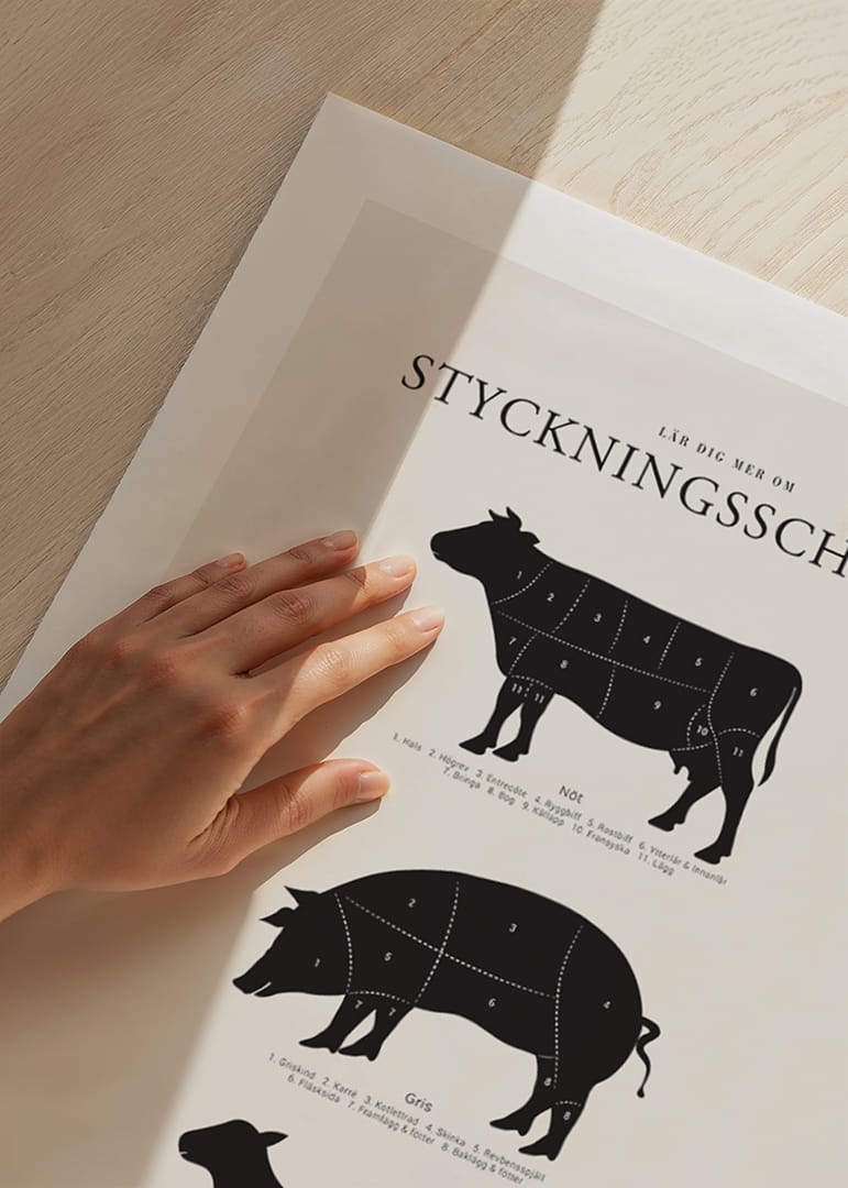 Illustrerade styckningsscheman för nöt, gris och lamm i svartvitt-12