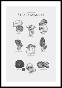 Ätbara Svampar-0