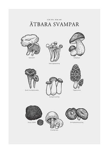 Poster Ätbara Svampar