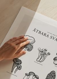 Ätbara Svampar-5