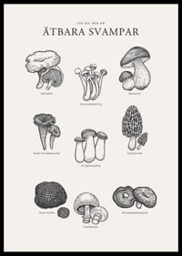 Svartvit illustration av ätbara svampar med namn-2