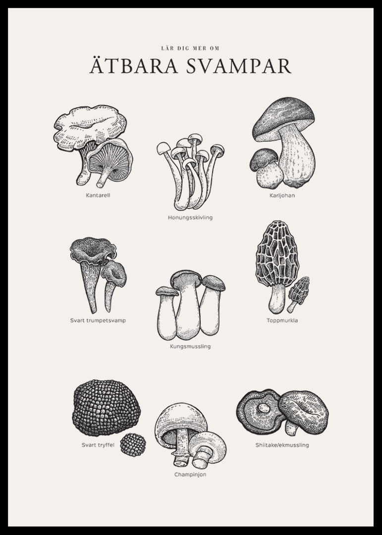 Svartvit illustration av ätbara svampar med namn-12