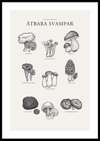 Svartvit illustration av ätbara svampar med namn-0