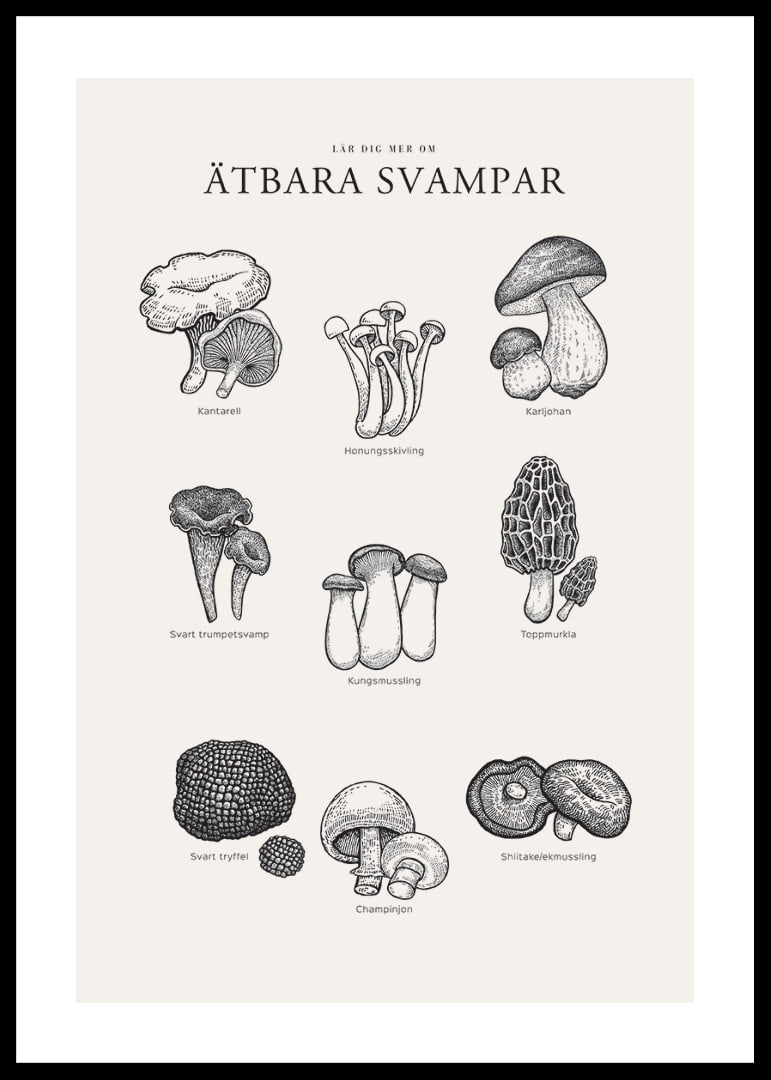 Svartvit illustration av ätbara svampar med namn-12