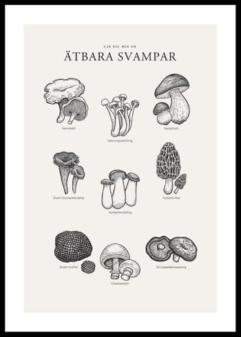 Poster Ätbara Svampar