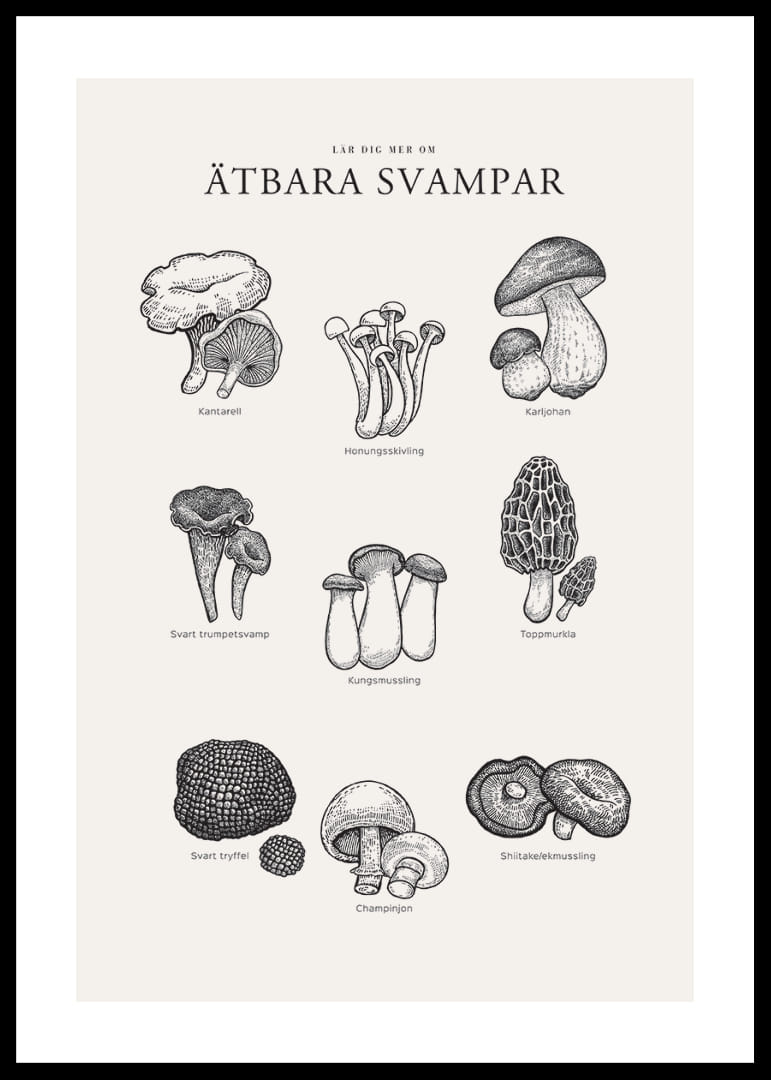 Svartvit illustration av ätbara svampar med namn-12