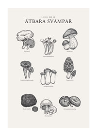 Svartvit illustration av ätbara svampar med namn-1