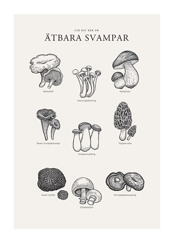 Poster Ätbara Svampar