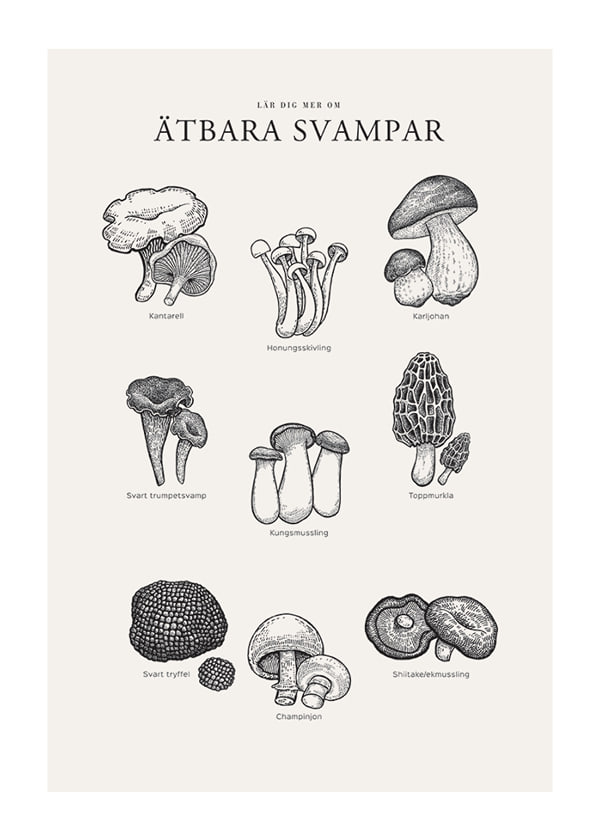 Poster Ätbara Svampar