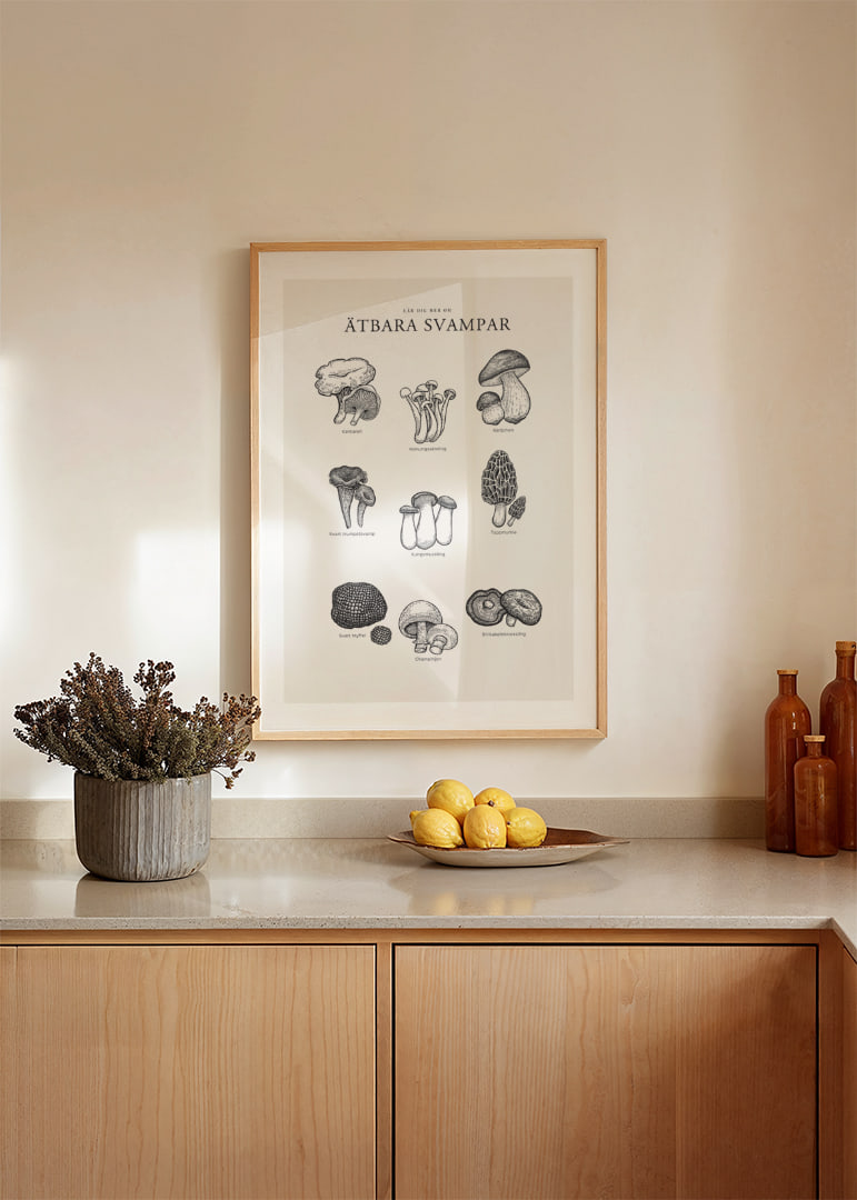 Svartvit illustration av ätbara svampar med namn-12