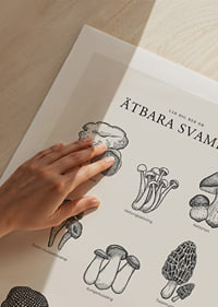Svartvit illustration av ätbara svampar med namn-9