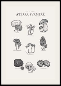 Svartvit illustration av ätbara svampar med namn-2