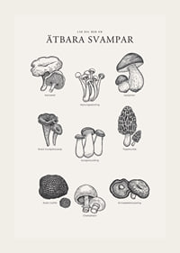 Svartvit illustration av ätbara svampar med namn-3
