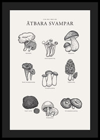 Svartvit illustration av ätbara svampar med namn-4