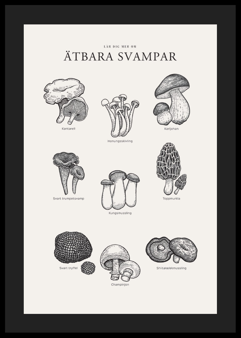 Svartvit illustration av ätbara svampar med namn-12