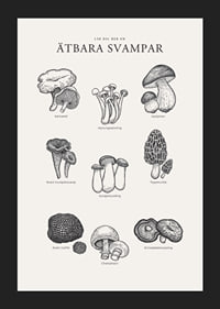 Svartvit illustration av ätbara svampar med namn-5