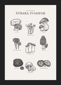 Svartvit illustration av ätbara svampar med namn-5
