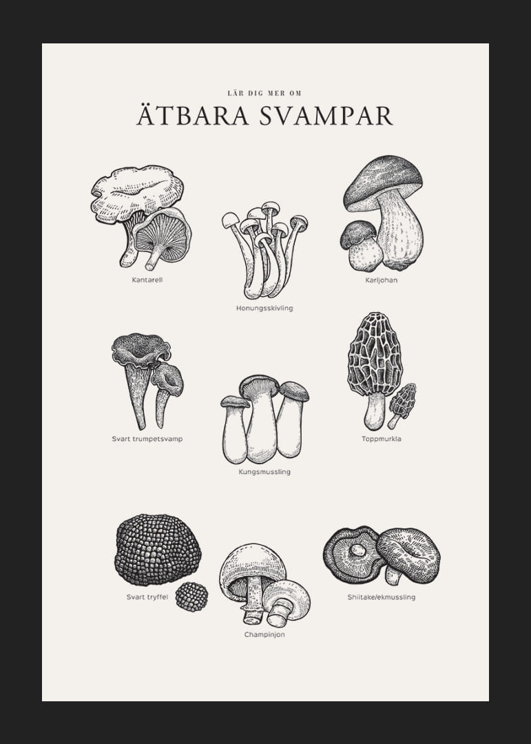 Svartvit illustration av ätbara svampar med namn-12