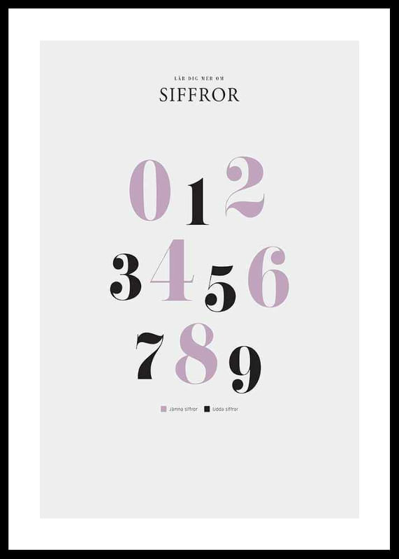 Siffror-12