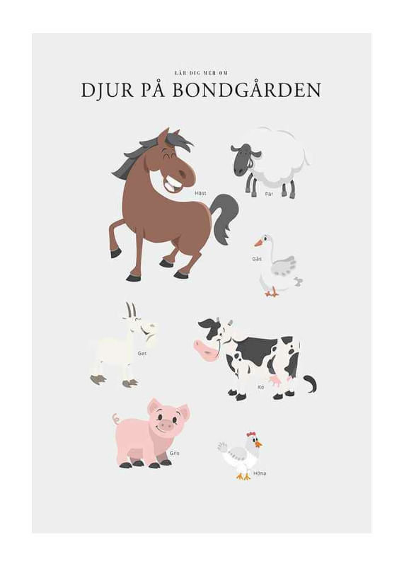 Djur På Bondgården-12