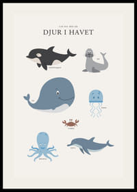 Illustrerade havsdjur i mjuka färger mot ljus bakgrund-2