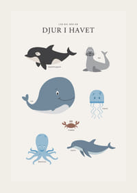 Illustrerade havsdjur i mjuka färger mot ljus bakgrund-3